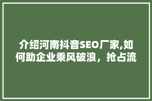 介绍河南抖音SEO厂家,如何助企业乘风破浪，抢占流量高地