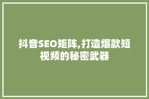 抖音SEO矩阵,打造爆款短视频的秘密武器