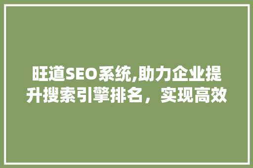 旺道SEO系统,助力企业提升搜索引擎排名，实现高效网络营销