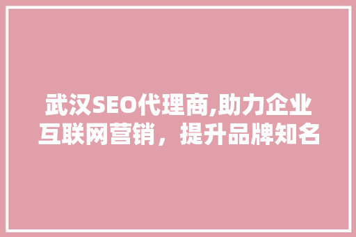 武汉SEO代理商,助力企业互联网营销，提升品牌知名度  第1张