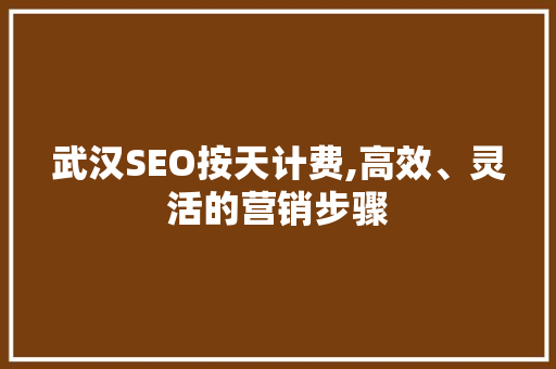 武汉SEO按天计费,高效、灵活的营销步骤  第1张
