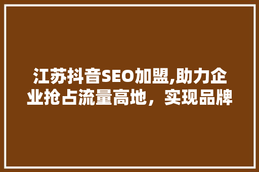 江苏抖音SEO加盟,助力企业抢占流量高地，实现品牌腾飞
