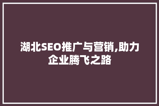 湖北SEO推广与营销,助力企业腾飞之路