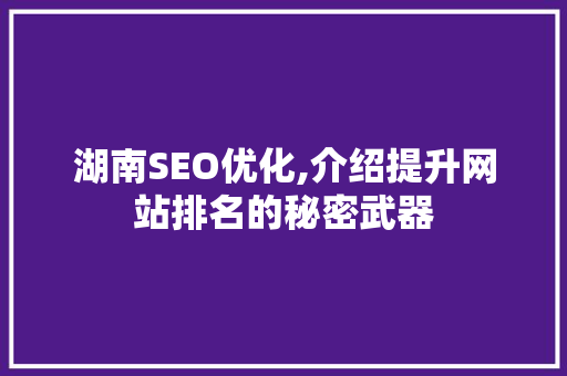 湖南SEO优化,介绍提升网站排名的秘密武器