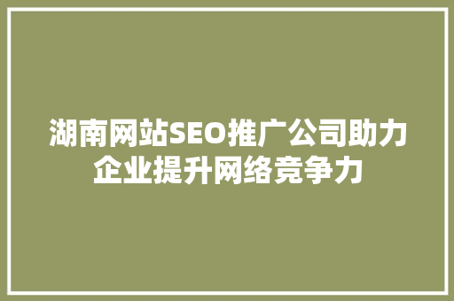 湖南网站SEO推广公司助力企业提升网络竞争力