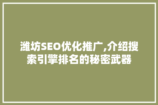 潍坊SEO优化推广,介绍搜索引擎排名的秘密武器