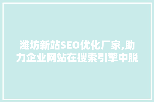 潍坊新站SEO优化厂家,助力企业网站在搜索引擎中脱颖而出