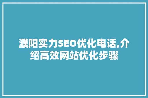 濮阳实力SEO优化电话,介绍高效网站优化步骤