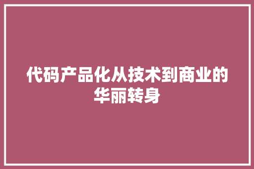 代码产品化从技术到商业的华丽转身
