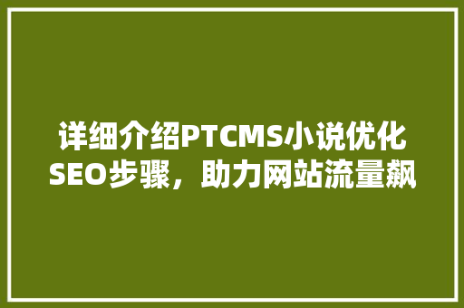 详细介绍PTCMS小说优化SEO步骤，助力网站流量飙升