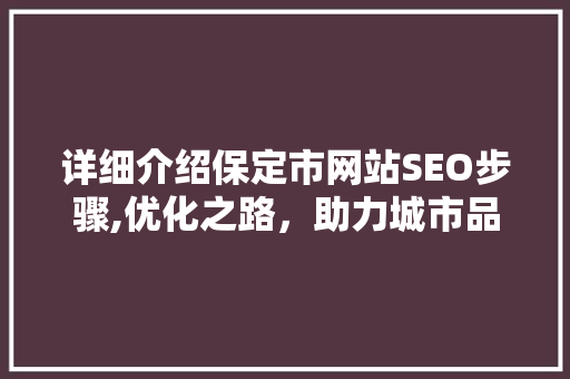 详细介绍保定市网站SEO步骤,优化之路，助力城市品牌腾飞
