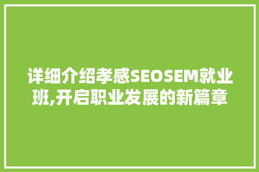 详细介绍孝感SEOSEM就业班,开启职业发展的新篇章  第1张