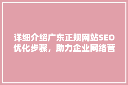 详细介绍广东正规网站SEO优化步骤，助力企业网络营销腾飞