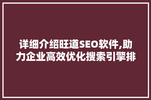 详细介绍旺道SEO软件,助力企业高效优化搜索引擎排名