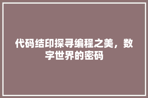 代码结印探寻编程之美，数字世界的密码  第1张
