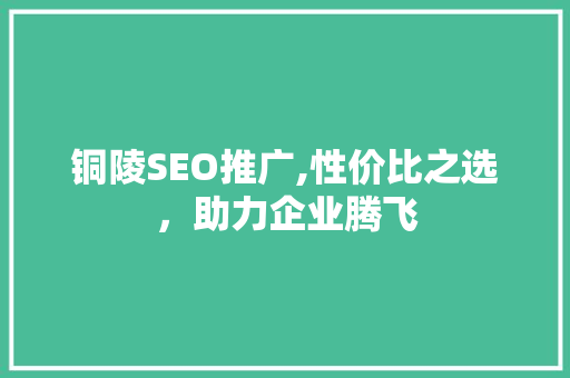 铜陵SEO推广,性价比之选，助力企业腾飞