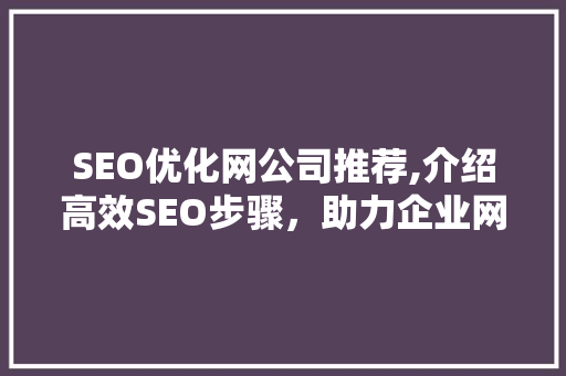 SEO优化网公司推荐,介绍高效SEO步骤，助力企业网络营销腾飞