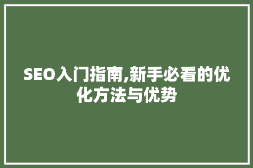 SEO入门指南,新手必看的优化方法与优势
