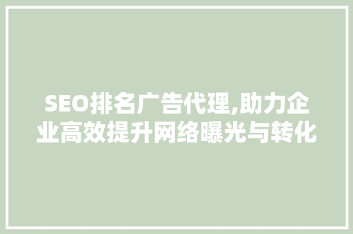 SEO排名广告代理,助力企业高效提升网络曝光与转化  第1张