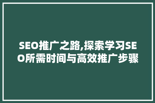 SEO推广之路,探索学习SEO所需时间与高效推广步骤  第1张