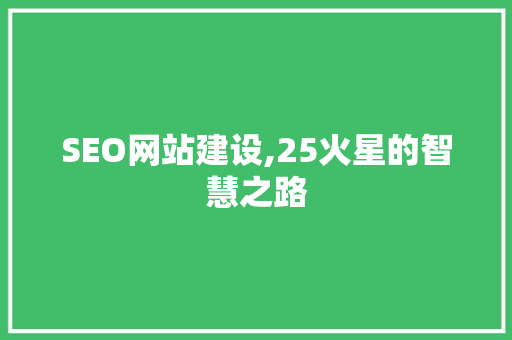 SEO网站建设,25火星的智慧之路  第1张