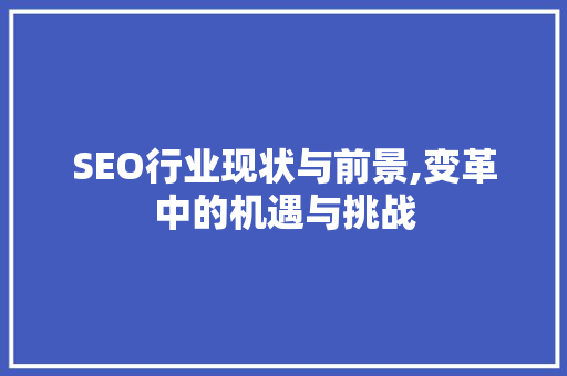 SEO行业现状与前景,变革中的机遇与挑战