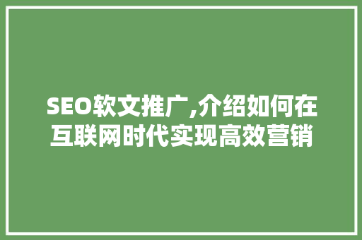 SEO软文推广,介绍如何在互联网时代实现高效营销