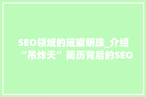SEO领域的璀璨明珠_介绍“吊炸天”简历背后的SEO专家