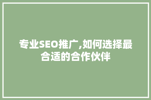 专业SEO推广,如何选择最合适的合作伙伴