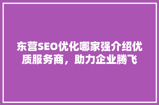 东营SEO优化哪家强介绍优质服务商，助力企业腾飞