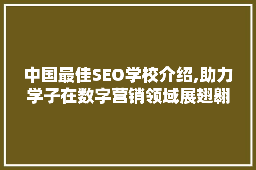 中国最佳SEO学校介绍,助力学子在数字营销领域展翅翱翔