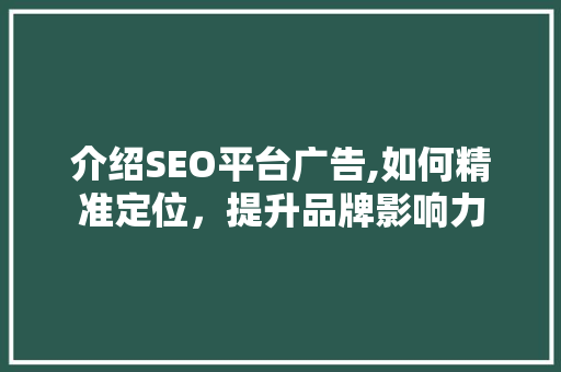 介绍SEO平台广告,如何精准定位，提升品牌影响力  第1张