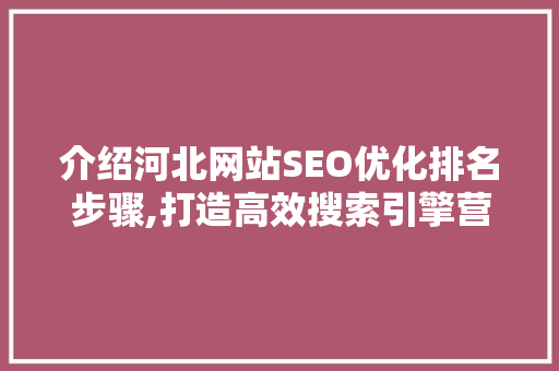 介绍河北网站SEO优化排名步骤,打造高效搜索引擎营销方法