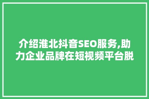 介绍淮北抖音SEO服务,助力企业品牌在短视频平台脱颖而出