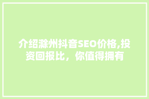 介绍滁州抖音SEO价格,投资回报比，你值得拥有