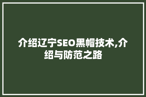 介绍辽宁SEO黑帽技术,介绍与防范之路