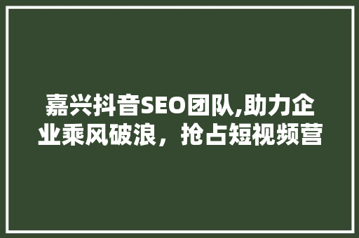 嘉兴抖音SEO团队,助力企业乘风破浪，抢占短视频营销制高点