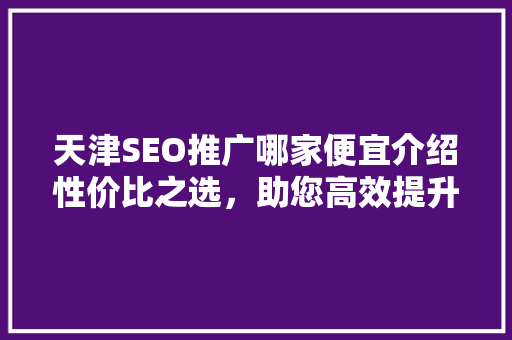 天津SEO推广哪家便宜介绍性价比之选，助您高效提升网站排名