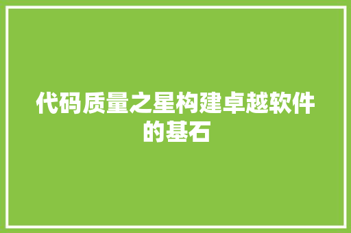代码质量之星构建卓越软件的基石