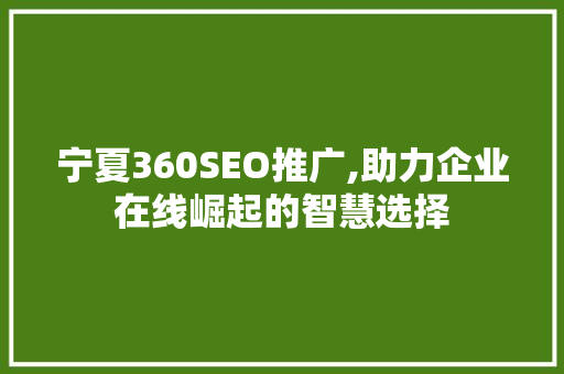 宁夏360SEO推广,助力企业在线崛起的智慧选择