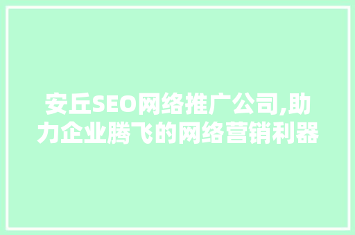安丘SEO网络推广公司,助力企业腾飞的网络营销利器