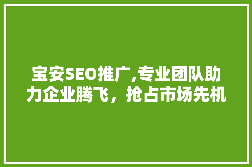 宝安SEO推广,专业团队助力企业腾飞，抢占市场先机