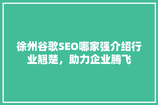 徐州谷歌SEO哪家强介绍行业翘楚，助力企业腾飞  第1张