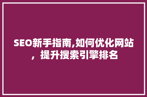 SEO新手指南,如何优化网站，提升搜索引擎排名