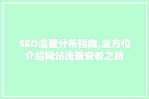 SEO流量分析指南,全方位介绍网站流量查看之路