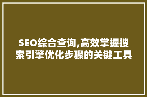 SEO综合查询,高效掌握搜索引擎优化步骤的关键工具  第1张