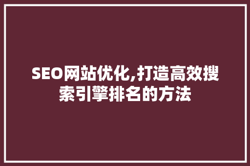 SEO网站优化,打造高效搜索引擎排名的方法