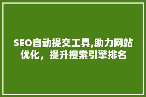 SEO自动提交工具,助力网站优化，提升搜索引擎排名