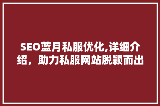 SEO蓝月私服优化,详细介绍，助力私服网站脱颖而出  第1张