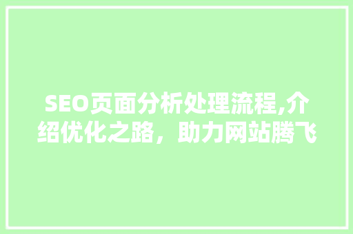SEO页面分析处理流程,介绍优化之路，助力网站腾飞
